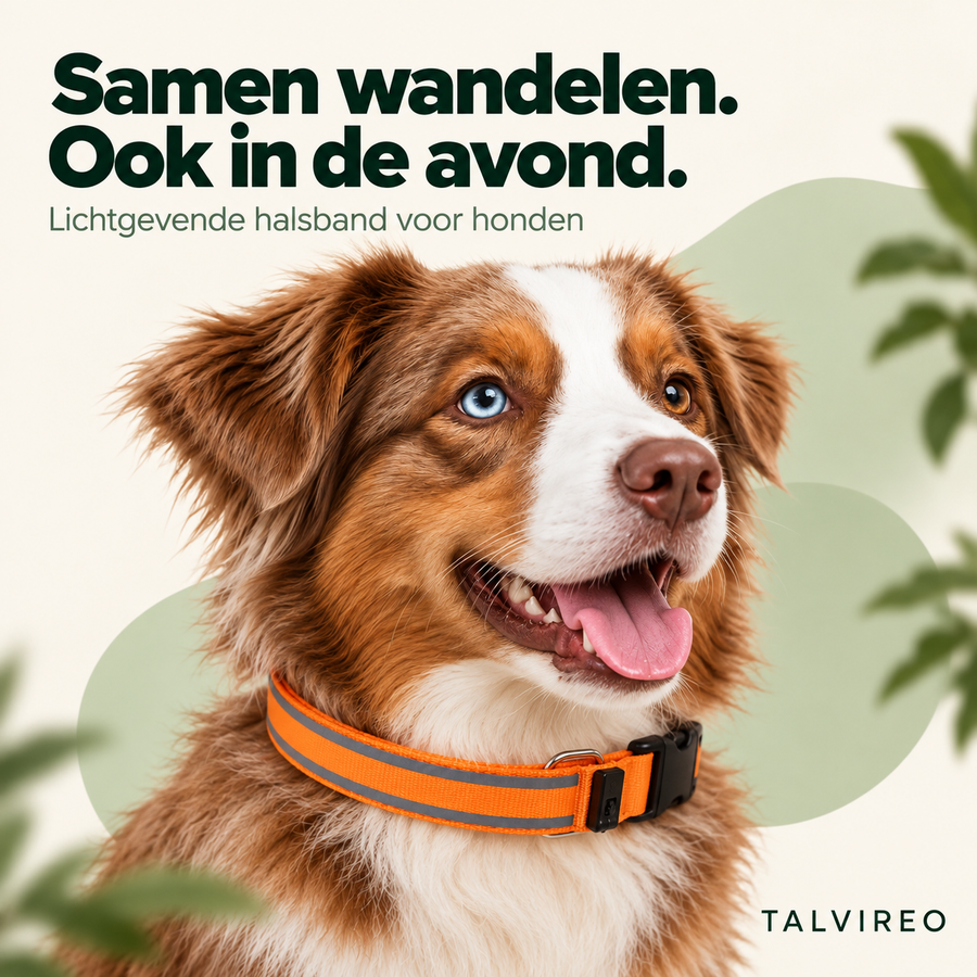 Lichtgevende halsband voor honden