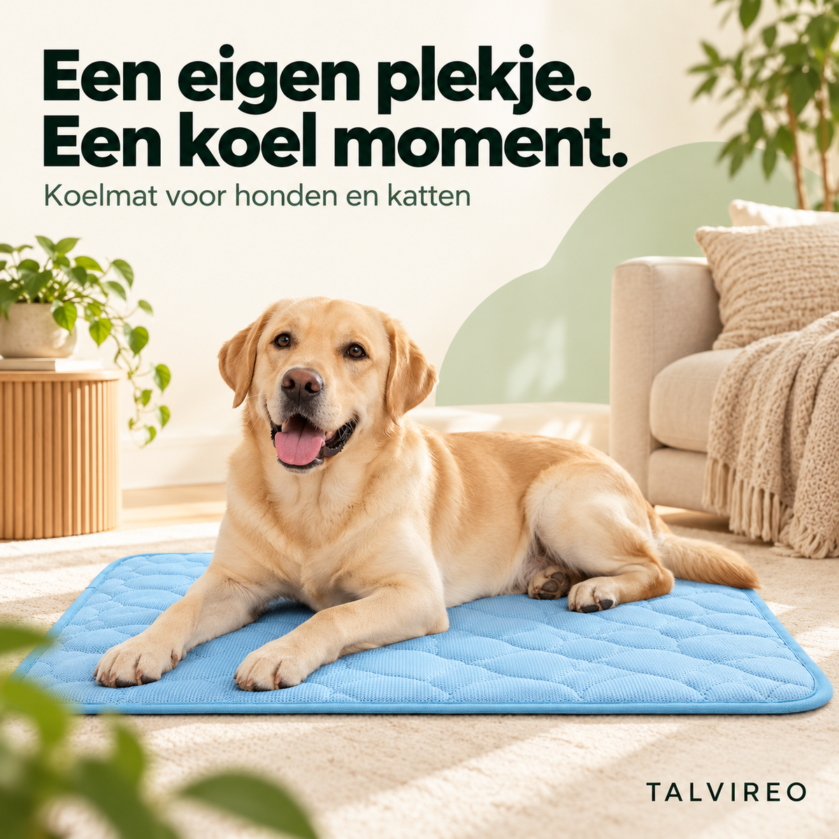 Koelmat voor honden en katten