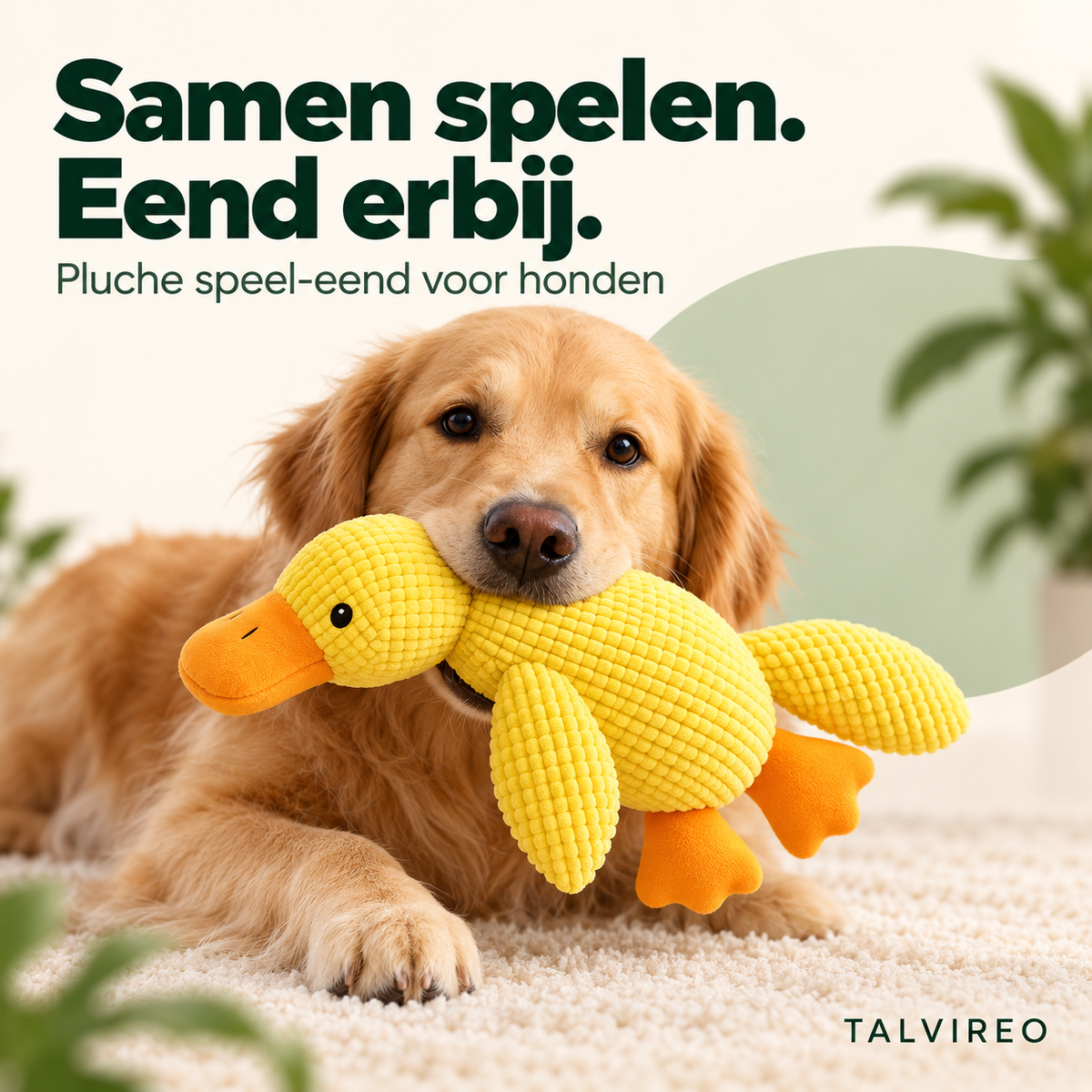 Pluche speel-eend voor honden