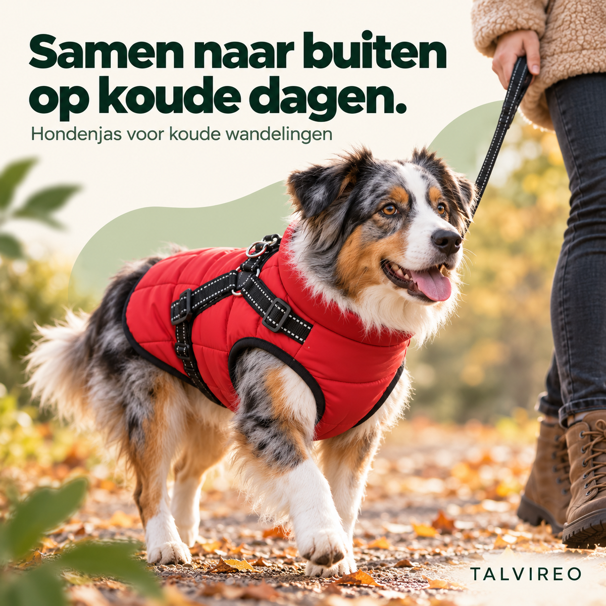 Hondenjas voor koude wandelingen