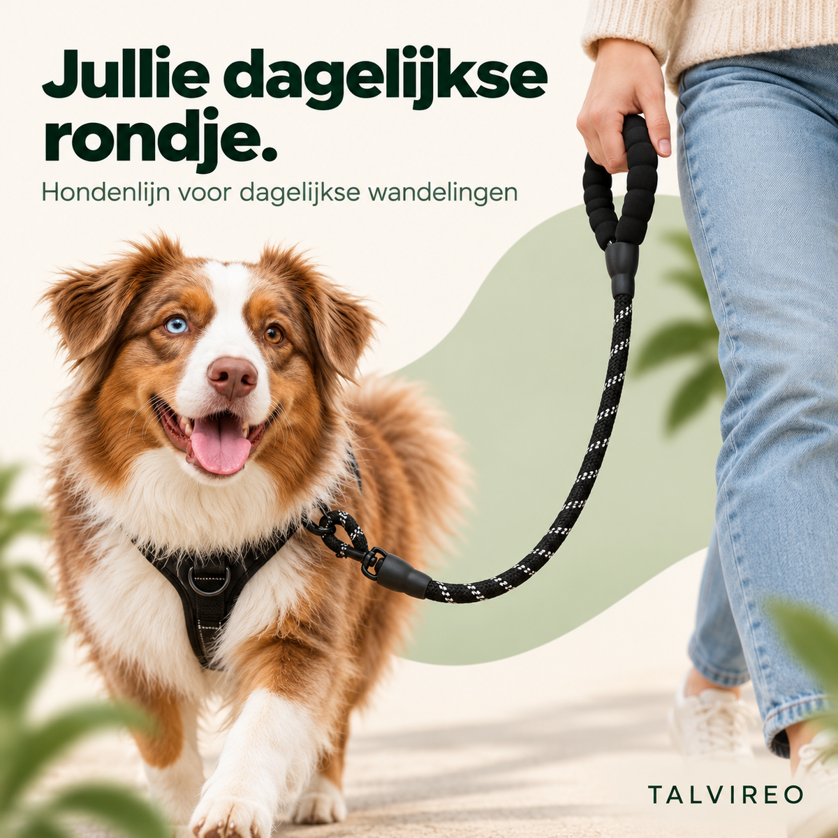 Hondenlijn voor dagelijkse wandelingen