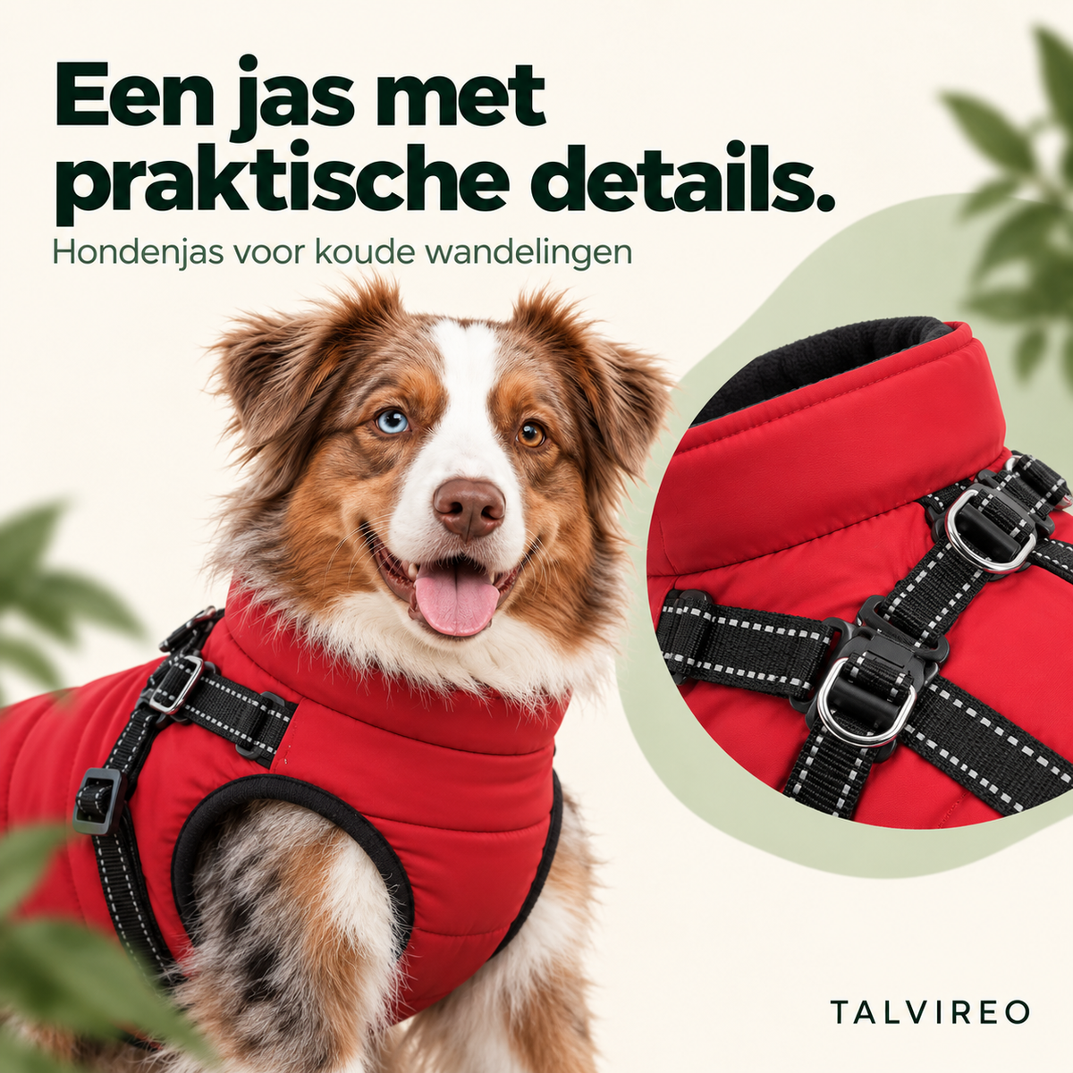 Hondenjas voor koude wandelingen