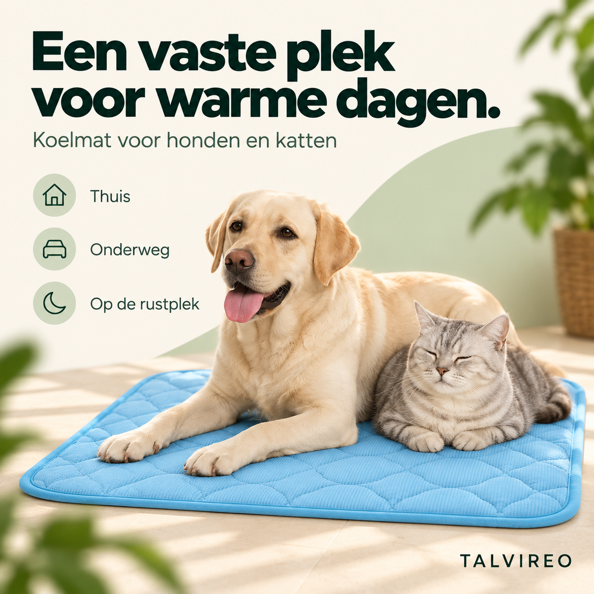 Koelmat voor honden en katten