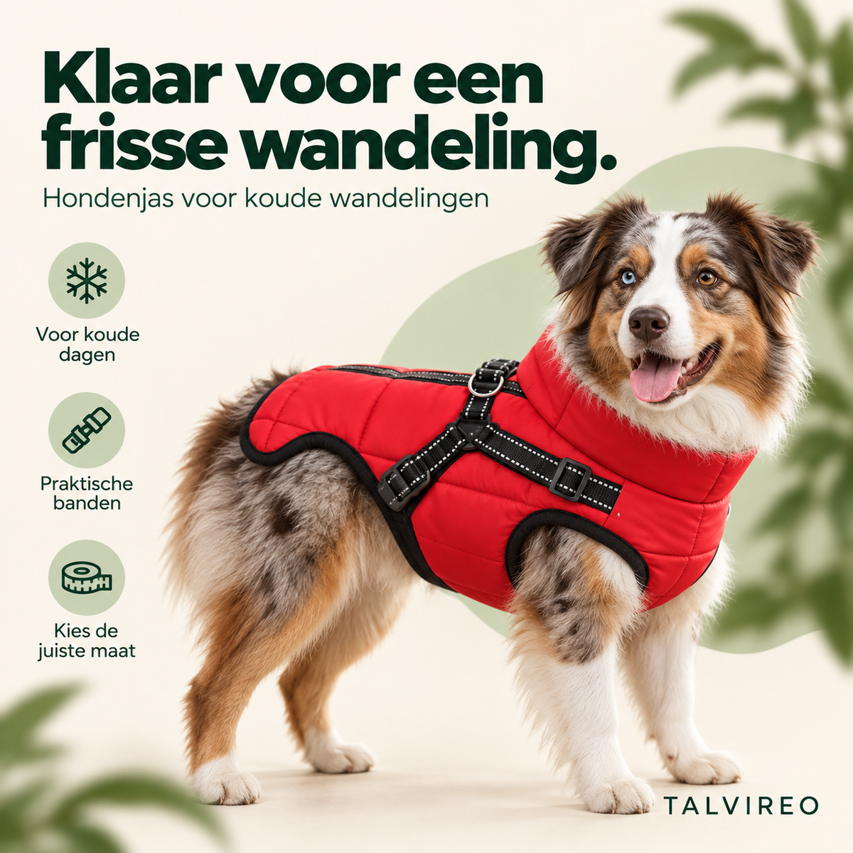 Hondenjas voor koude wandelingen