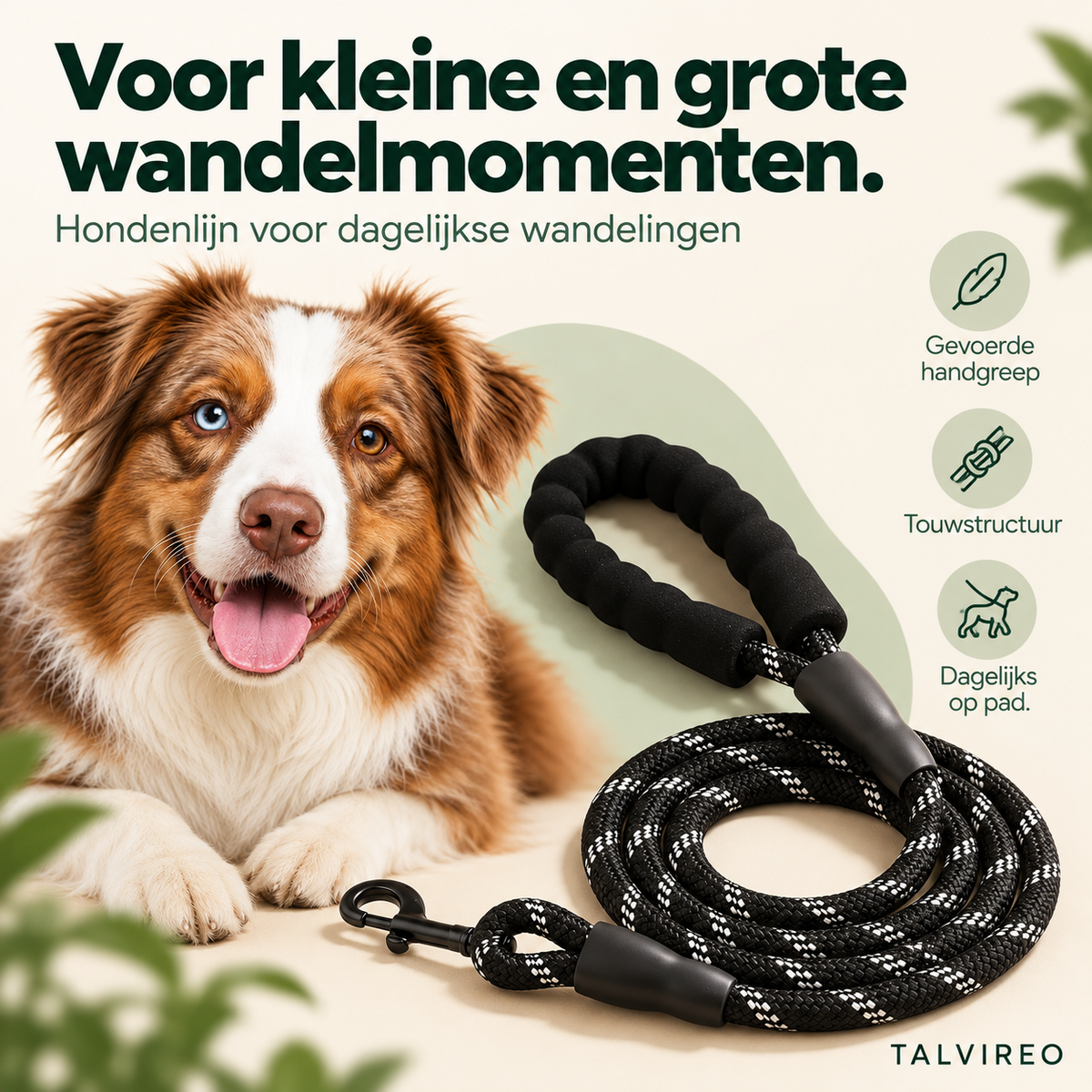 Hondenlijn voor dagelijkse wandelingen