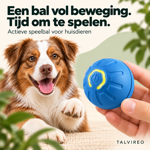 Actieve speelbal voor huisdieren