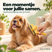 Hond tijdens een verzorgingsmoment met de vachtborstel